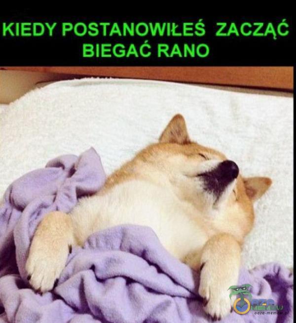 KIEDY POSTANOWIŁEŚ ZACZĄĆ BIEGAĆ RANO