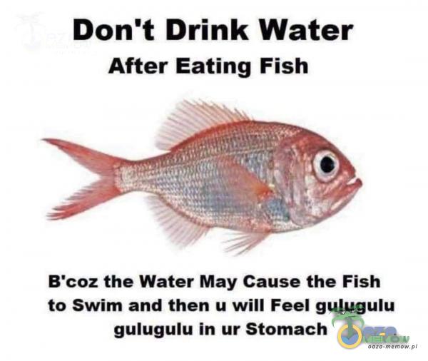 Don t Drink Water After Eating Fish B coz the Water May Cause the Fish to Swim and then u will Feel gulugulu gulugulu in ur Słomach