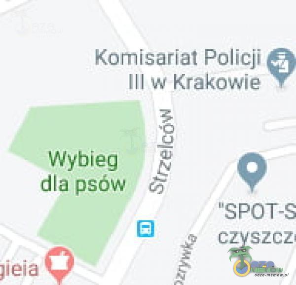 Komisariat Policji III w Krakowie Wybieg dla psów 9 SPOT-S czyszcz )ieia