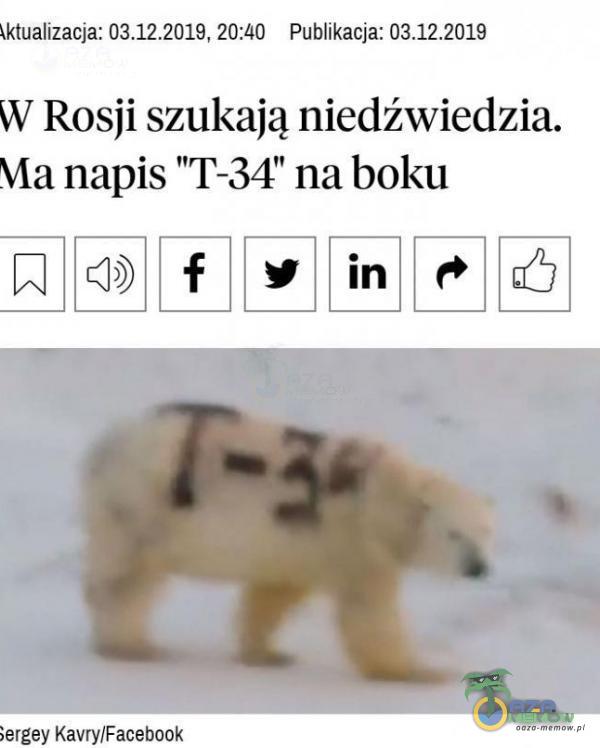 ktualizacja: , 20:40 Publikacja: W Rosji szukają niedźwiedzia. Vla napis T-34 na boku f in ;ergey Kavry/Facebook