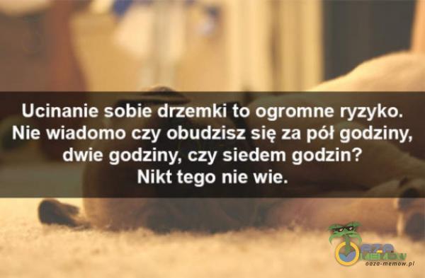 Ucinanłe sobie drzemki to ogame ryzyko. Nie, wiadomo czy obudzisz się za pół dwiegodńny. czy siedem gadam? Nikt tego nie wie.