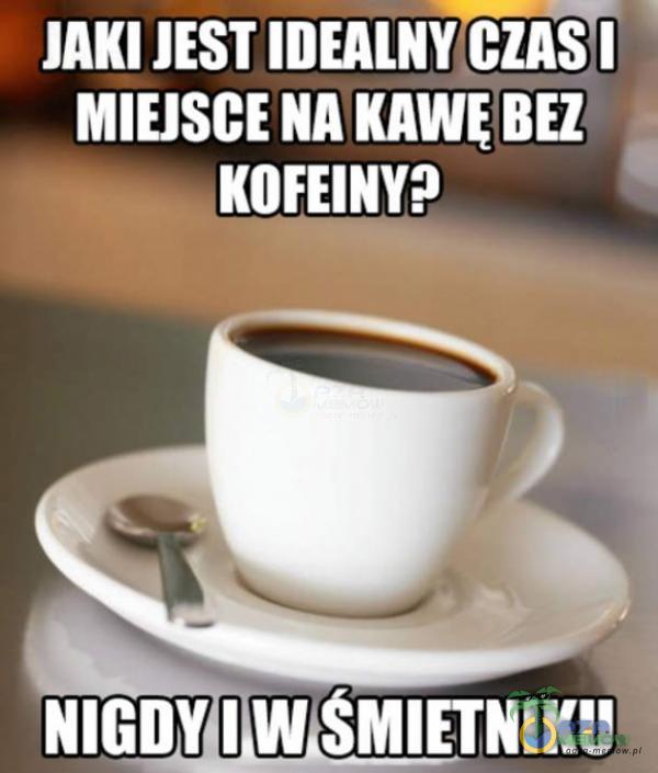 Codziennie tylko śmieszne memy, pasty, gify, suchary i filmy - przeglądaj, komentuj, dodawaj własne!