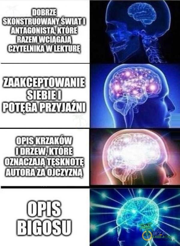 DOBRZE SKONSTRUOWAWSWIAT I ANTAGONISTA KTÓRE RAZEM WCIAGAJA CZYTELNIKAW ZAAKCEPTOWANIE SIEBIE I POTEGÎPRZYJAŽNI OPIS KRZAKÓW I DRZEW,TŔTÓRE OZNACZAJĄ TĘSKNOTĘ OPIS BIGOSU