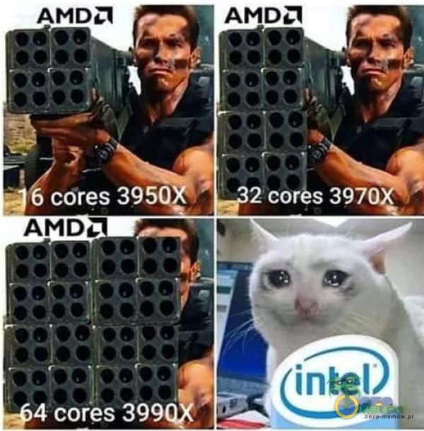 AMDa cores 395 4 cores 399 2 cor s 397 intel