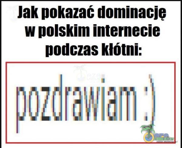 Jak pokazać dominacje w polskim Internecie podczas kłótni: pozdrawiam )