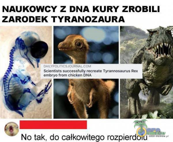 NAUKOWCY Z DNA KURY ZROBILI ZARODEK TYRANOZAURA Notak. do całkowitego rozp***dolu