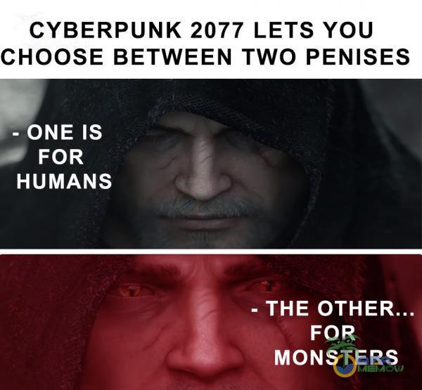 CYBERPUNK 2077 LETS YOU CHOOSE BETWEEN TWO PENISES cie IE) * FOR HUMANS = THE FOR MONSTERS h