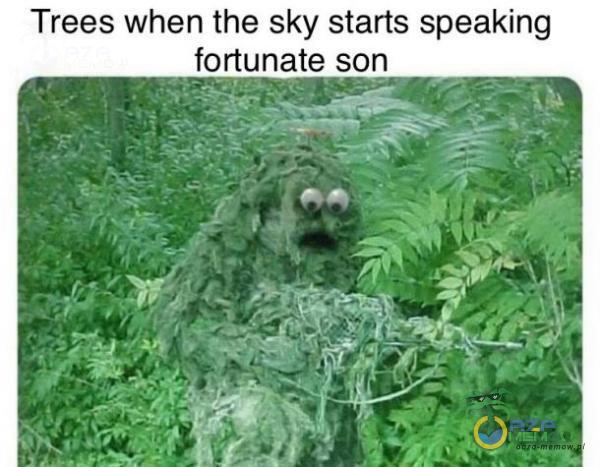 Trees when the sky starts speaking fortunate son