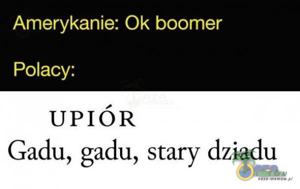 Amerykanie: Ok boomer Polacy: UPIÓR Gadu, gadu, stary dziadu