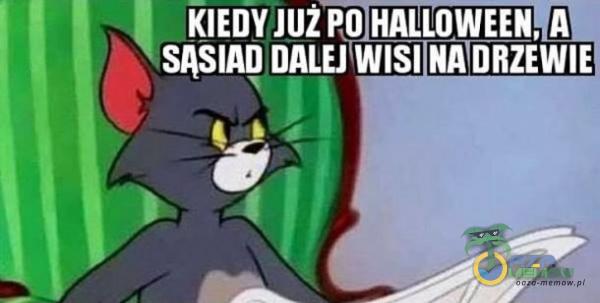 klEDY JUŽŃŃALLOWEEN, A SĄSIAD DALEJ WISI NAIDRZEWIE