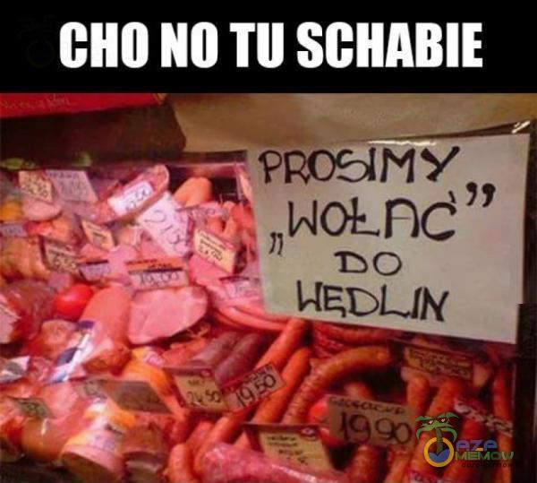 CHO NO TU SCHABIE V(ĘDLIN