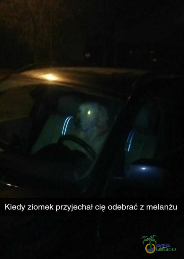 Kiedy ziomek przyjechał cię odebrać z melanżu