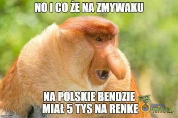 NO rco ŽEŃAZMYWAKO NA POLSKIE 5 WS NA RENKE