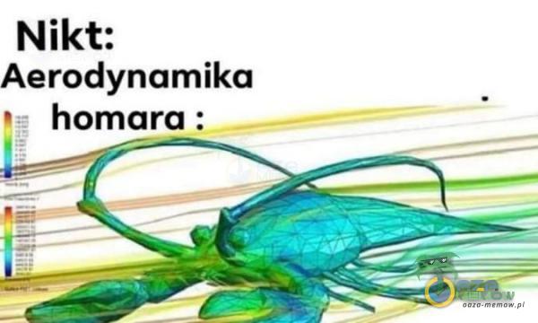 Nikt: Aerodynamika | homara :