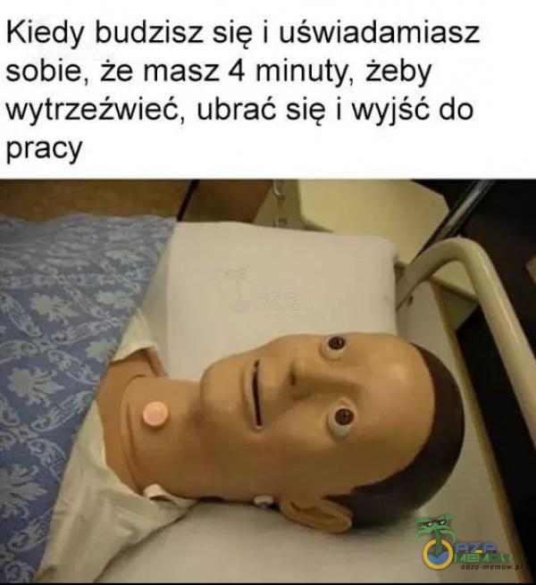 Kiedy budzisz się i uświadamiasz sobie, że masz 4 minuty, żeby wytrzeźwieć, ubrać się i wyjść do pracy