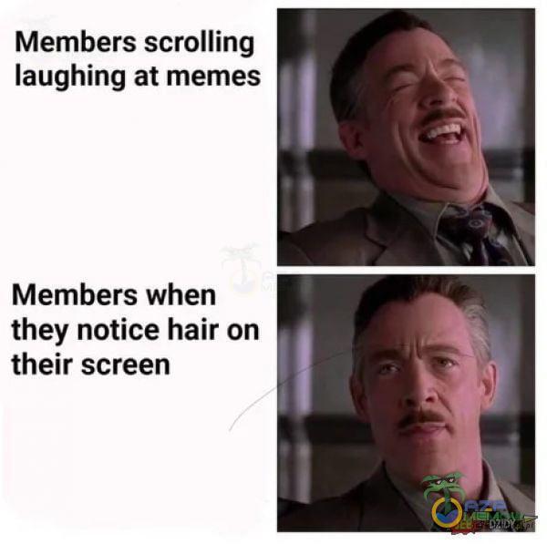 Members scrolling laughing at memes Members when they notice hair on their screen