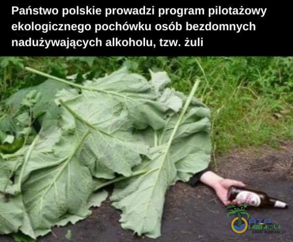 Państwo polskie prowadzi program pilotażowy ekologicznego pochówku osób bezdomnych nadużywających alkoholu, tzw. żuli