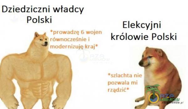 Dziedziezni władcy Polsk || Elekcyjni 123 7% królowie Polski ! mad - u Hi! |ATTEDTW | zm j Ff rzuci M