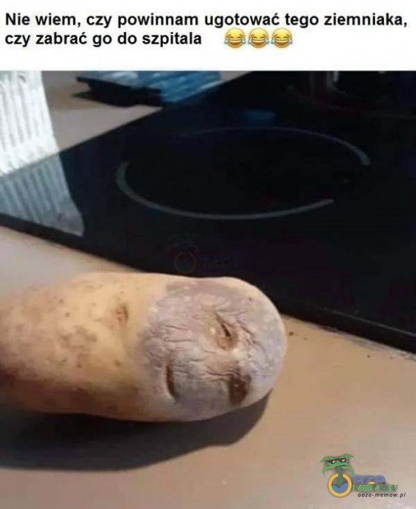 Nie wiem, czy powinnam ugotować tego ziemniaka, czy zabrać go do szpitala
