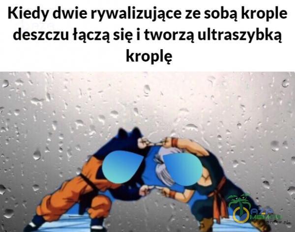 Kiedy dwie rywalizujące ze sobą kroe deszczu łączą się i tworzą ultraszybką kroę