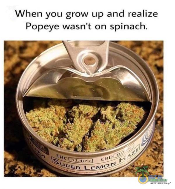When you grow up and realize Popeye wasn t on spinach. LEMO