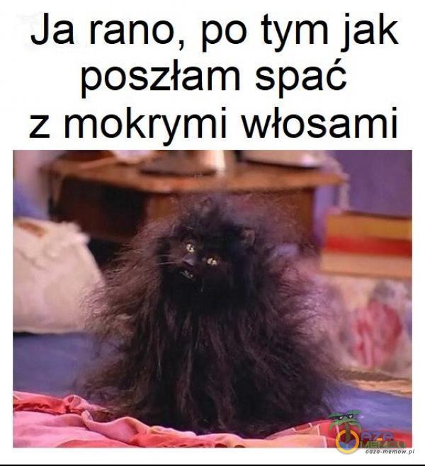 Ja rano, po tym jak poszłam spać z mokrymi włosami