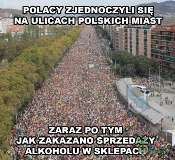 Codziennie tylko śmieszne memy, pasty, gify, suchary i filmy - przeglądaj, komentuj, dodawaj własne!