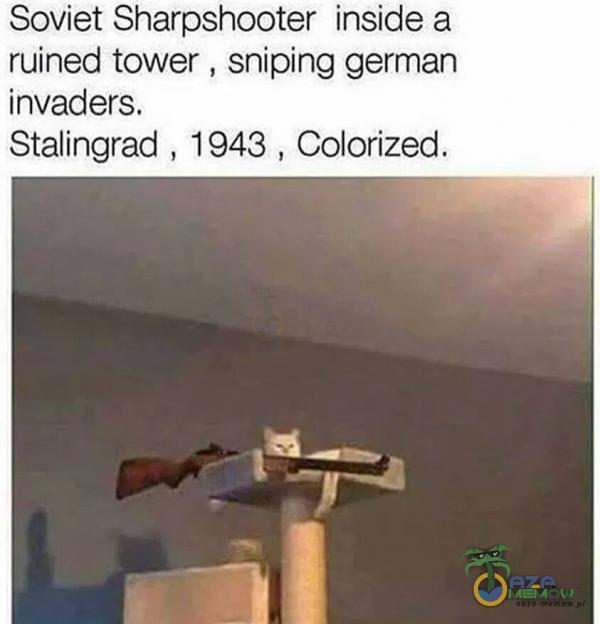 Soviet Sharpshooter inside a ruined tower , sniping german invaders. Stalingrad , 1943 , Colorized.