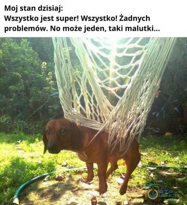 Moj stan dzisiaj: Wszystko jest super! Wszystko! żadnych problemów. No może jeden, taki