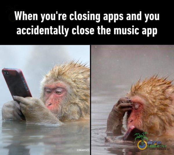 When you re closing apps and you accidentally Close the music app