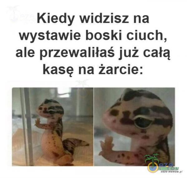 Kiedy widzisz na wystawie boski ciuch, ale przewaliłaś już całą kasę na żarcie: