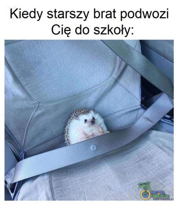 Kiedy starszy brat podwozi Cię do szkoły: