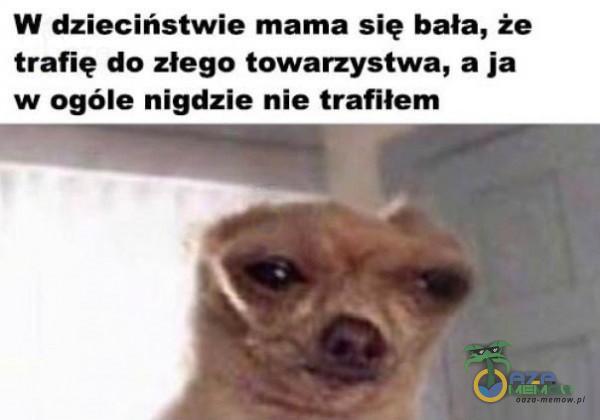 Codziennie tylko śmieszne memy, pasty, gify, suchary i filmy - przeglądaj, komentuj, dodawaj własne!