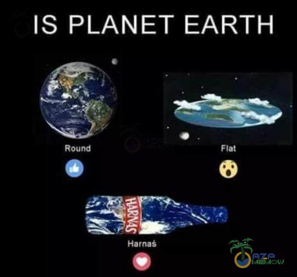 IS PLANET EARTH