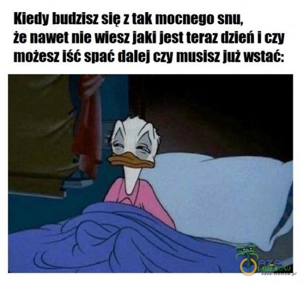 Codziennie tylko śmieszne memy, pasty, gify, suchary i filmy - przeglądaj, komentuj, dodawaj własne!