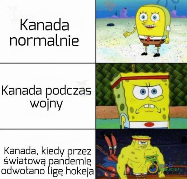 Kanada normalnie Kanada podczas wojny Kanada, kiedy rzez światową pandemię odwołano ligę hokeja