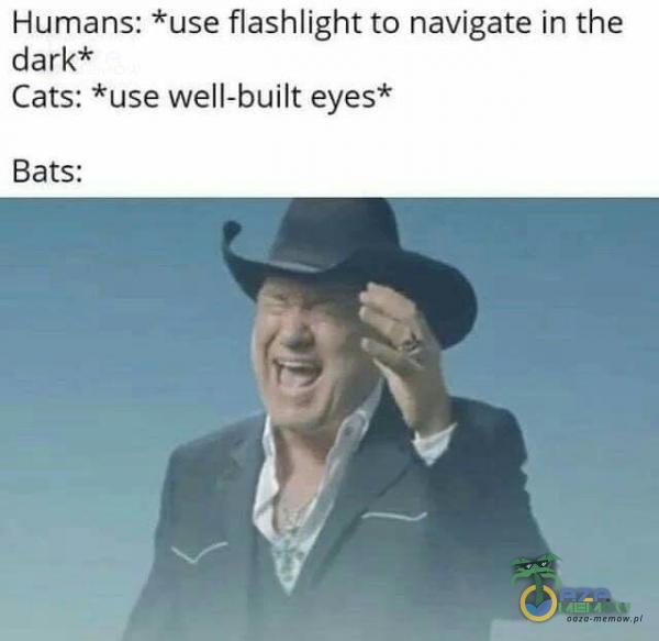 Humans: *use flashlight to navigate in the dark* Cats: *use well-builtteyes* Bats: