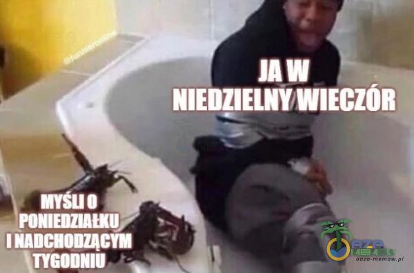 Codziennie tylko śmieszne memy, pasty, gify, suchary i filmy - przeglądaj, komentuj, dodawaj własne!