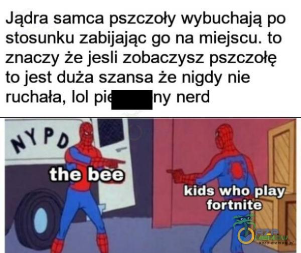 Jądra samca pszczoły wybuchają po stosunku zabijając go na miejscu. to znaczy że jesli zobaczysz pszczołę to jest duża szansa że nigdy nie ruchała, 101 pi ny nerd the bee kids who ay fortnite.