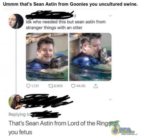 Ummm thaťs Sean Astin from Goonies you uncultured swine. idk who needed this but sean astin from stranger things with an otter 0 1,131 Reying t Thaťs Sean Astin from Lord of the Rings you fetus