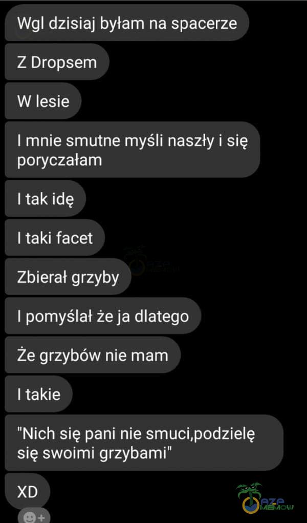  Wgl dzisiaj byłam na spacerze Z Dropsem W lesie I mnie smutne myśli naszły i się poryczałam I tak idę I taki facet Zbierał grzyby I pomyślał że ja dlatego Że grzybów nie mam I takie Nich się pani nie smuci,podzielę się swoimi grzybami...