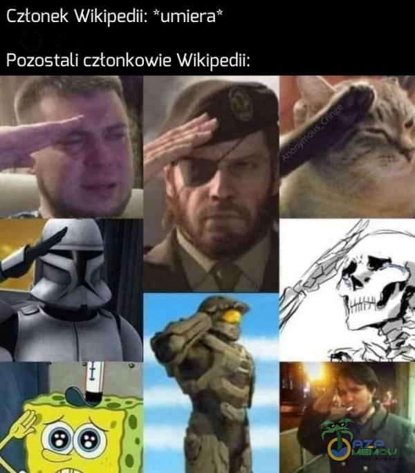 Cztonek Wikipedii: *=umiera* Pozostali cztankowie Wikipedii: PE