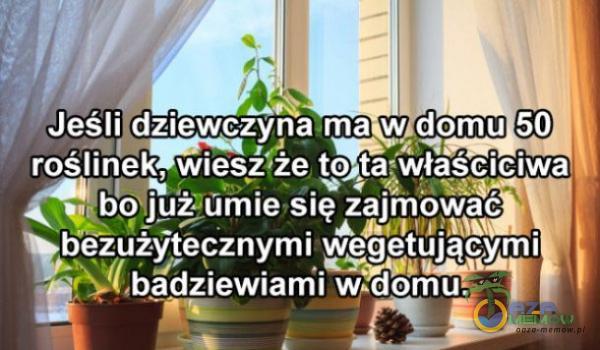 Jeśli dziewczyna ma w domu 50 że juîUmie się zajmować bezużytecznymi wegetującymi bdziewiami