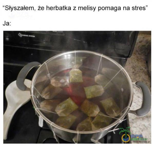 Słyszałem, że herbatka z melisy pomaga na stres Ja: