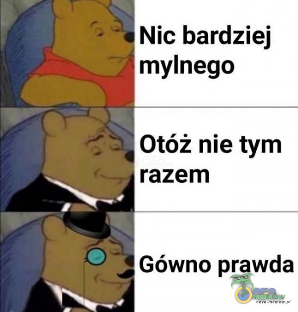 Nic bardziej mylnego Otóż nie tym razem Gówno prawda