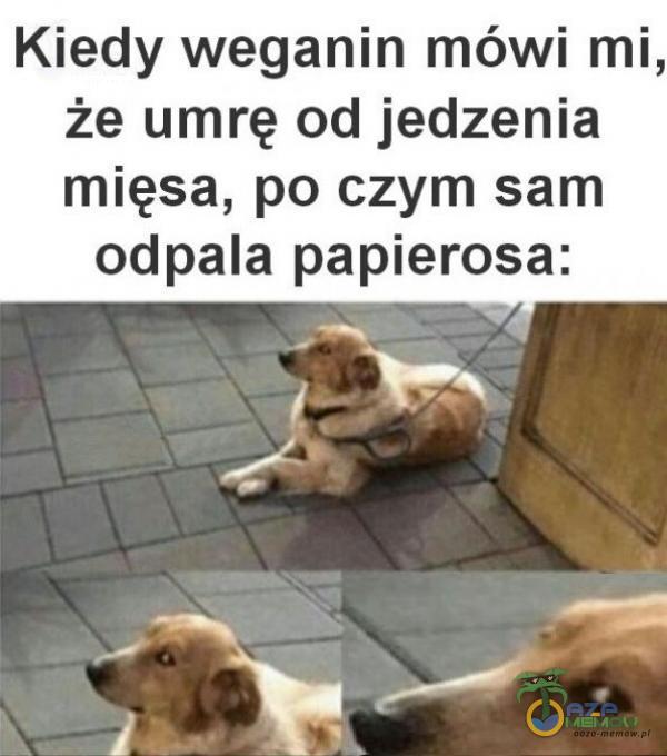 Kiedy weganin mówi mi, że umrę od jedzenia mięsa, po czym sam odpala papierosa: