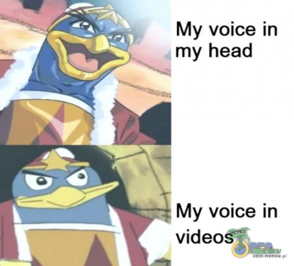 My voice in my head My voice in videos