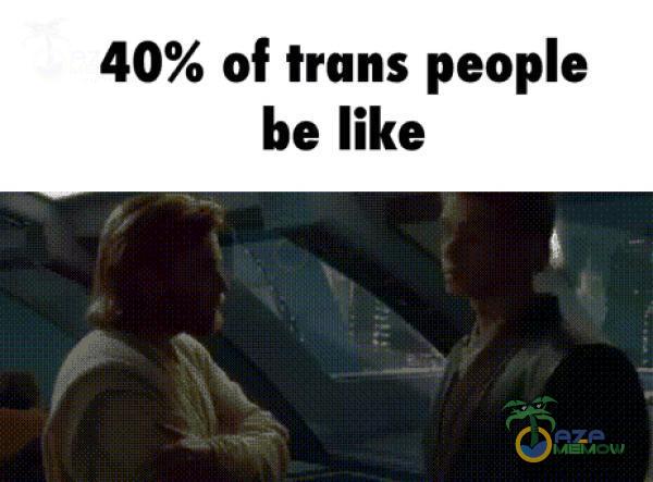 40% of trans peoe ke like