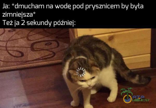 Ja: *dmucham na wodę pod prysznicem by była ;simnirśigaaa TEŻ is 12 sekundy pfóż nfej: