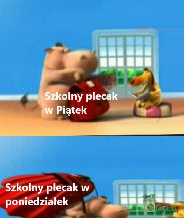 Codziennie tylko śmieszne memy, pasty, gify, suchary i filmy - przeglądaj, komentuj, dodawaj własne!